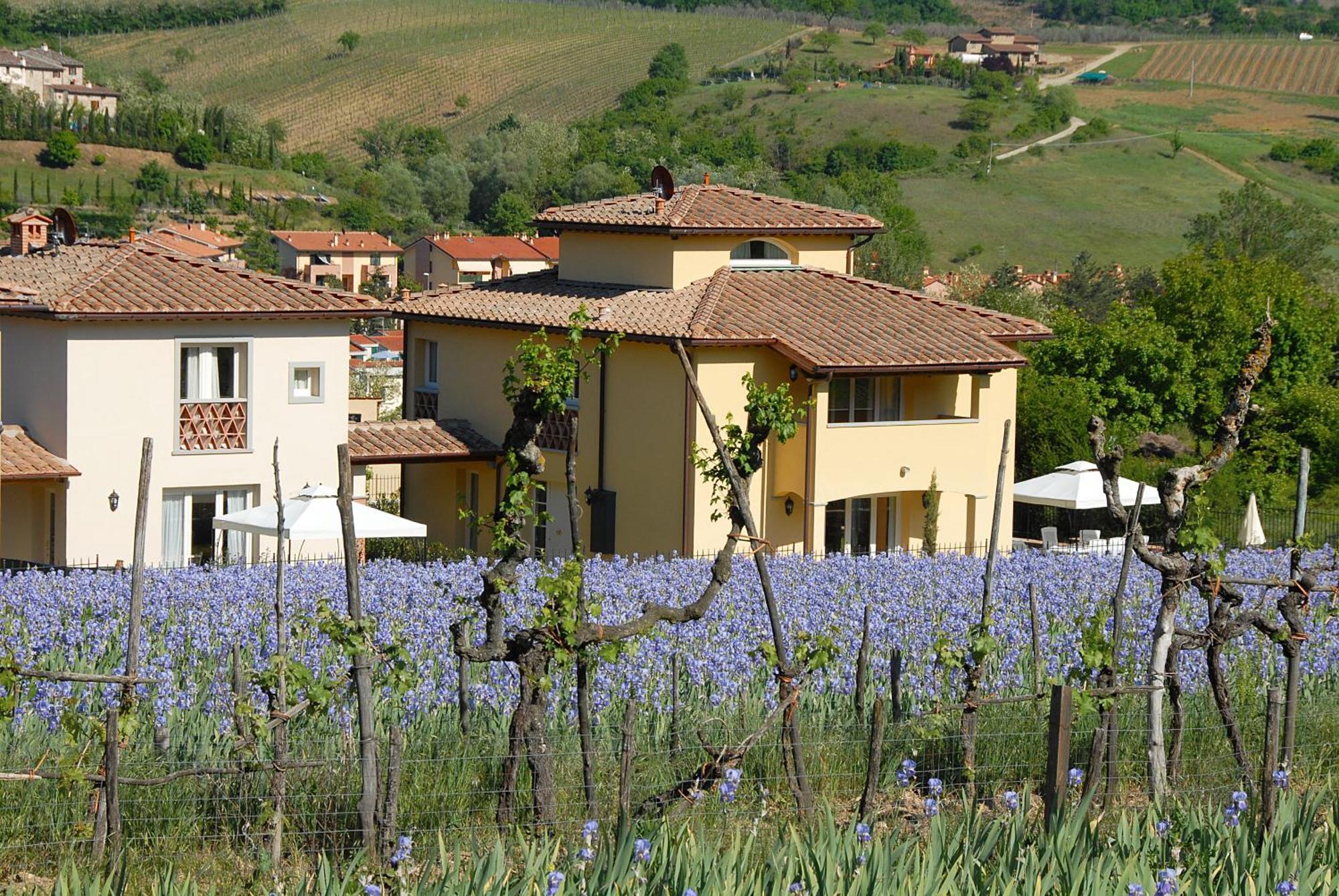Villa Residenza Le Grillaie à Greve in Chianti Extérieur photo